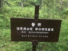 -阿尔山市大兴安岭奥伦布坎景区