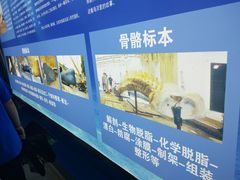 -上海海洋大学鱼文化博物馆(军工路校区)