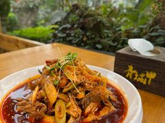 -青城甲(青城山店)