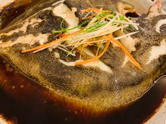 清蒸多宝鱼-青年公社烤鸭(青年路店)