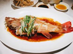 东星斑-粤界(望京金辉店)