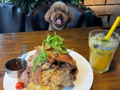 -百好乐宠物友好餐厅(朝外大街店)