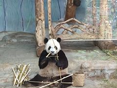 -海南热带野生动植物园