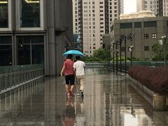 -陆家嘴世纪金融广场