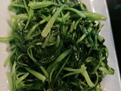 -南山竹海·珍味堂