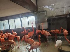 -南昌动物园