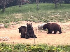 -北京野生动物园