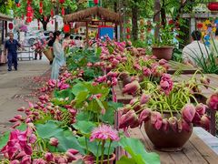 -南山植物园