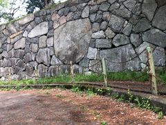 -名古屋城