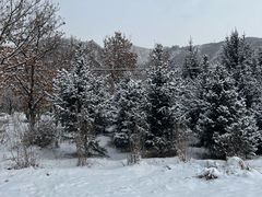 -塞罕坝国家级自然保护区