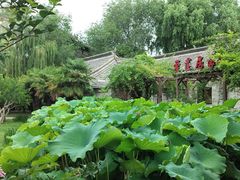 -台儿庄古城