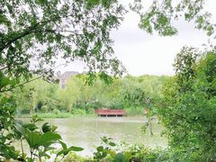 -新江湾城公园