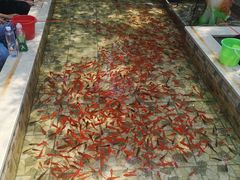 -长白岛森林公园