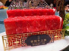 牛上脑-小饕荟养生火锅(仁和·熙春郡店)