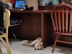 -肥朵食堂(带梦胡同店)