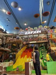 -卡通尼·Safari非洲探索乐园·生日会(金桥国际商业广场店)