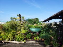 -自然餐厅(Phuket)