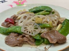 -院8里·少城记忆老川菜(宽窄巷子店)