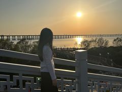 -宝安西湾红树林湿地公园