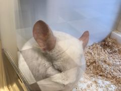 -龙猫仔乐园(惠福东路店)