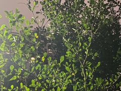 -厦门市图书馆(集美新城馆区)