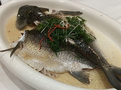 -顺德渔村·岭南一号