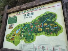 -西双版纳原始森林公园