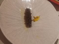 -悦融琥珀·京鲁菜·海味珍品(西单店)