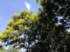 -苏州河梦清园环保主题公园