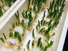 -双季花艺园艺市场(浦东店)