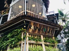 -Rainforest