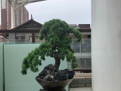 -北京老铺烤鸭(老城根店)