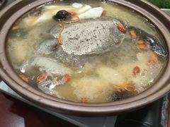 -丁老爷子苏香圆
