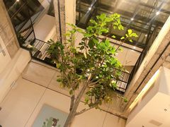 -大树餐厅(红旗街万达店)