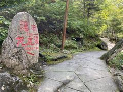 -嘉荫恐龙国家地质公园