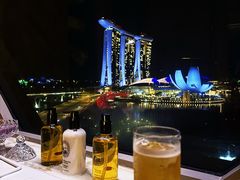 -新加坡丽思卡尔顿美年酒店