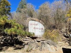 -白水寺森林公园