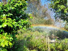 -崇圣寺三塔文化旅游区