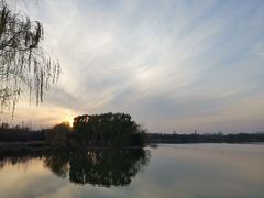 -大兴滨河森林公园