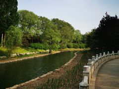 -大望京公园