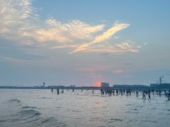 -南汇新城海滩