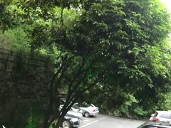 -龙井壹号·茶缘山景宴(龙井村店)
