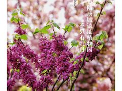 -洛阳市隋唐城遗址植物园