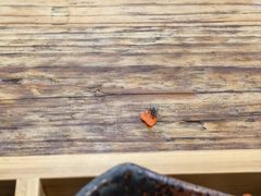 -西环肥仔螺蛳粉(总店)