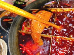 -肥龙火锅(南坪店)