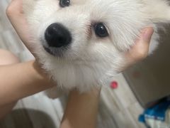 -Yee3·三号椰(南桥百联店)