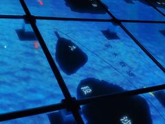 -上海长江河口科技馆