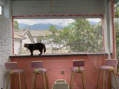 -喵屿·大理花园猫咖