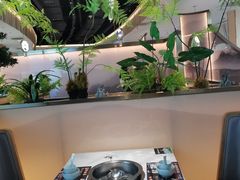 -马家斑.鲜鱼火锅(松湖万科店)
