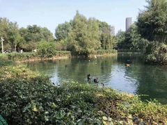 -长白岛森林公园